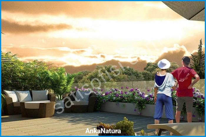 ankanatura proje görselleri görsel 3