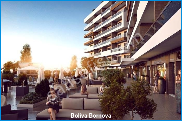 Boliva Bornova Proje Görselleri 1 boliva bornova proje görselleri görsel 1