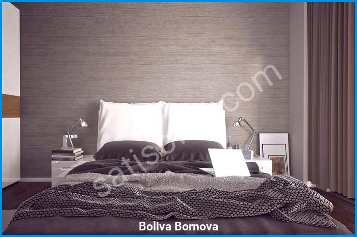 Boliva Bornova Proje Görselleri 15 boliva bornova proje görselleri görsel 15