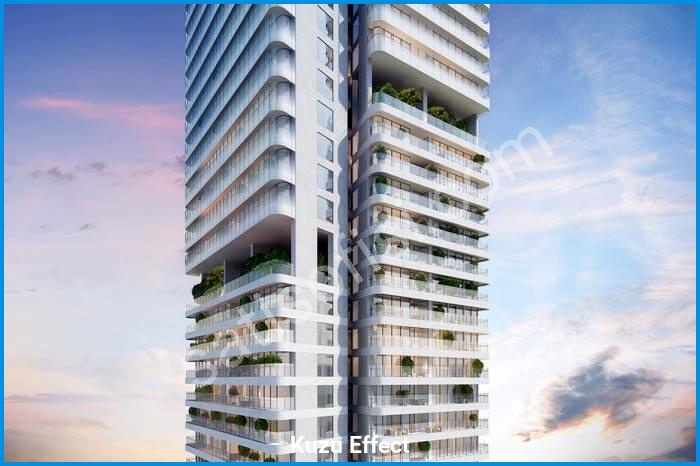 kuzu effect proje görselleri görsel 1