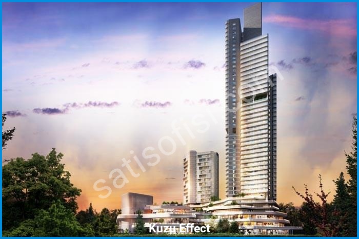 kuzu effect proje görselleri görsel 14