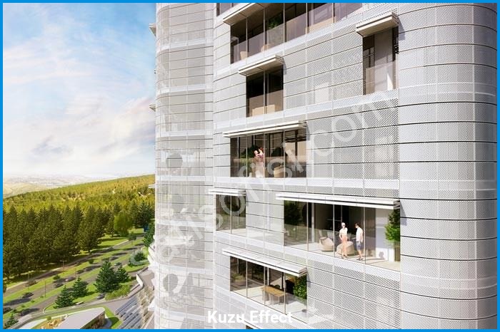 kuzu effect proje görselleri görsel 18