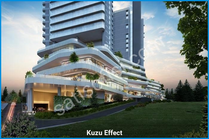 kuzu effect proje görselleri görsel 2