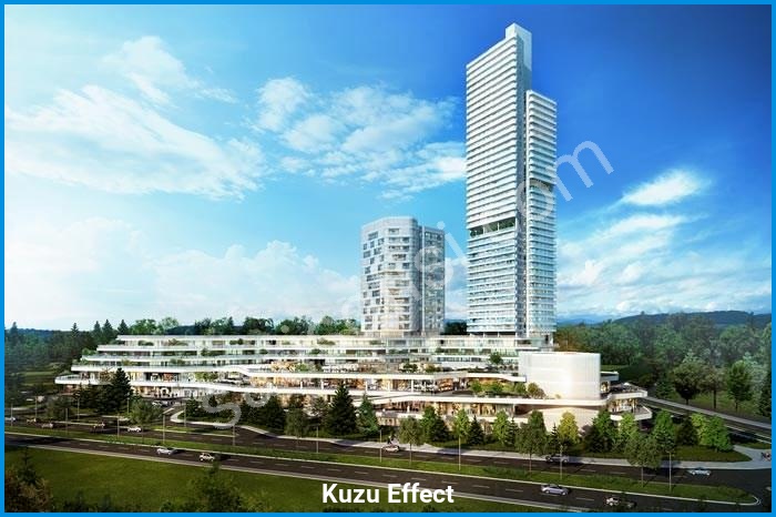 kuzu effect proje görselleri görsel 21