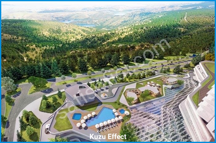 kuzu effect proje görselleri görsel 8