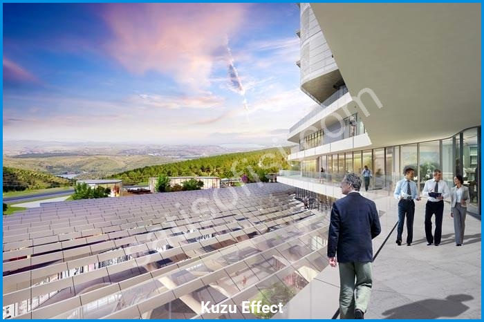 kuzu effect proje görselleri görsel 9