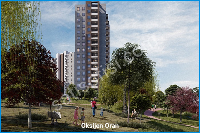 oksijen oran proje görselleri görsel 1