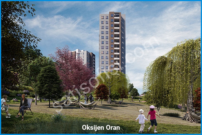 oksijen oran proje görselleri görsel 3