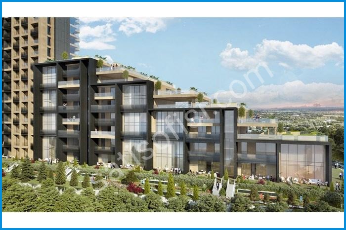 park joven proje görselleri görsel 1