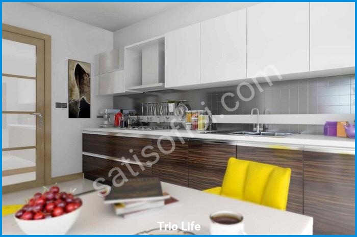 Trio Life Proje Görselleri 12 trio life proje görselleri görsel 12