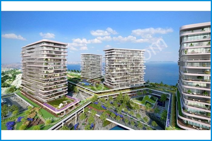 Yedi Mavi Proje Görselleri 3 yedi mavi proje görselleri görsel 3