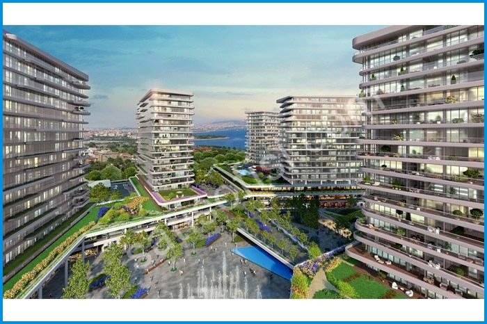 Yedi Mavi Proje Görselleri 5 yedi mavi proje görselleri görsel 5