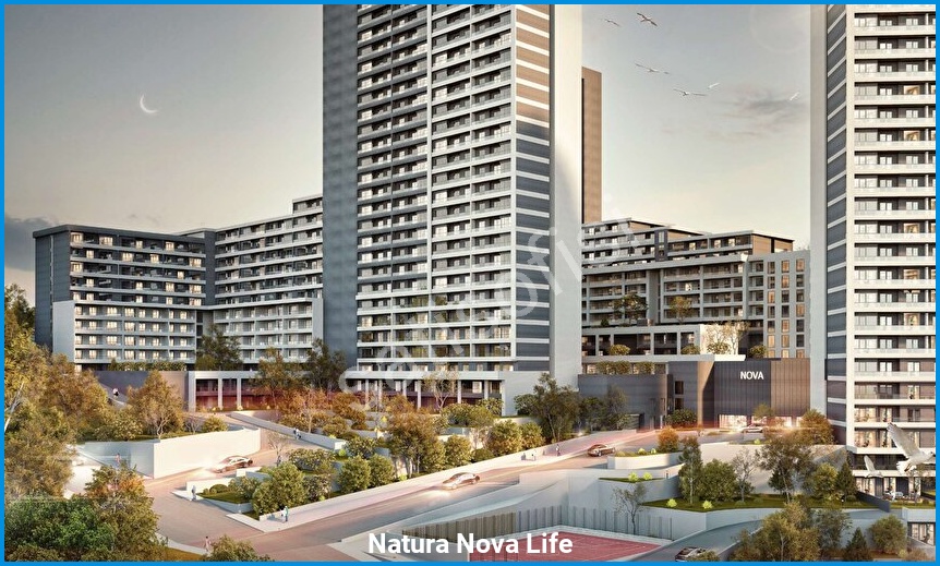 Natura Nova Life 8
