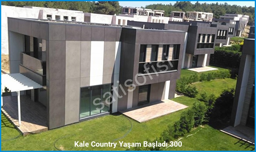Kale Country 6