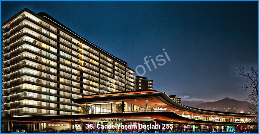 38. Cadde 2
