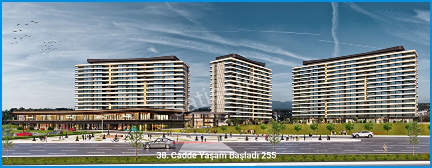 38. Cadde 6