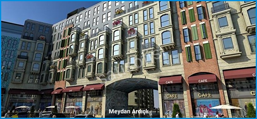 Meydan Ardıçlı 3