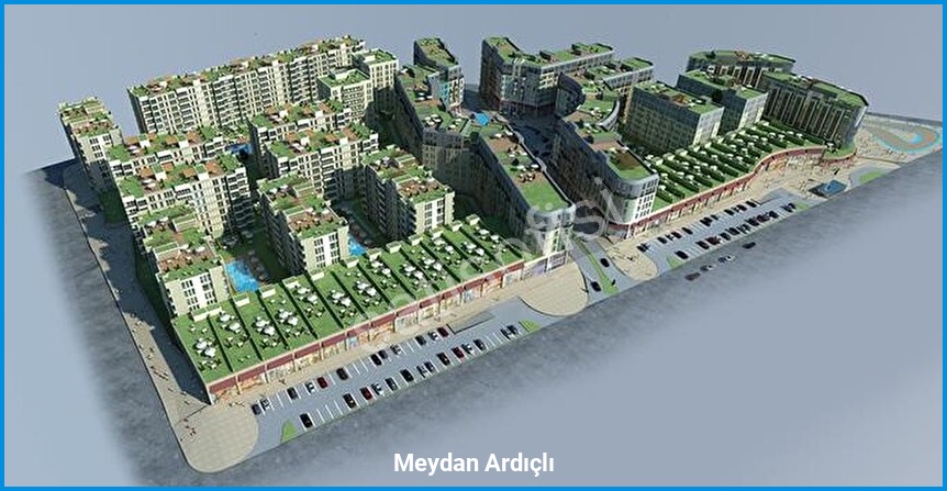 Meydan Ardıçlı 4