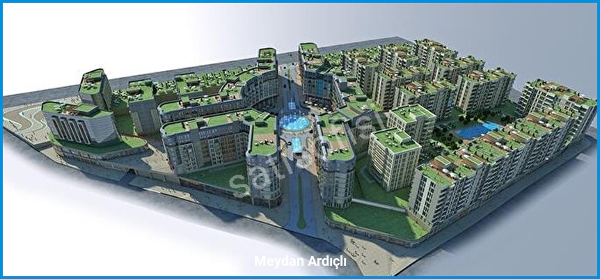 Meydan Ardıçlı 5