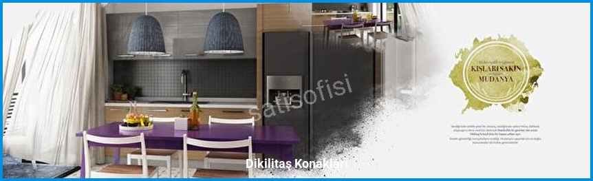 Dikilitaş Konakları 4