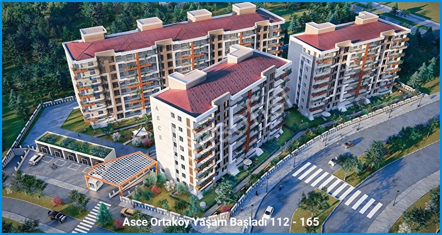 Asce Ortaköy