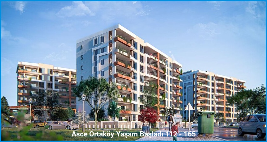 Asce Ortaköy görsel 2