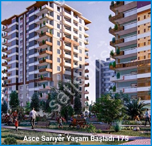 Asce Sarıyer 4