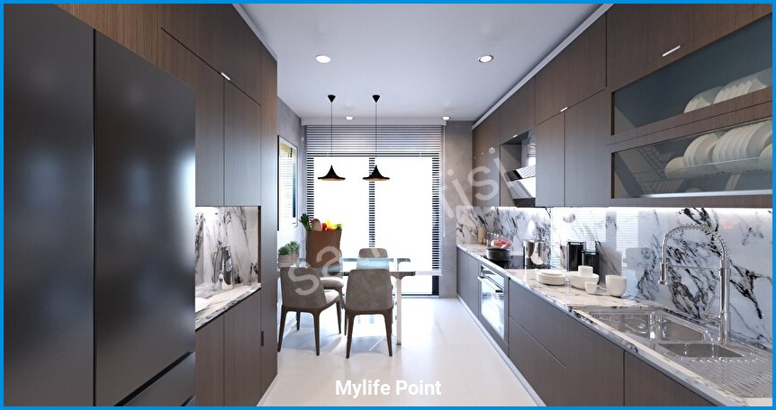 Mylife Point 10