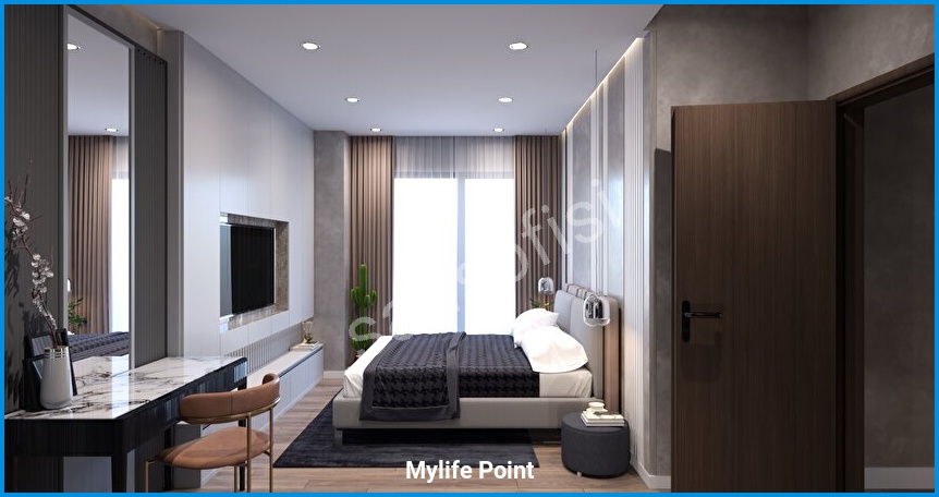 Mylife Point 12