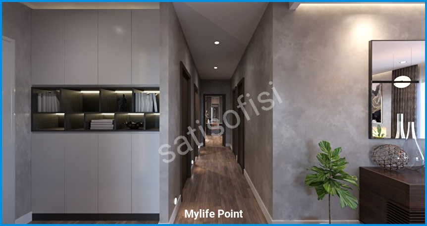Mylife Point 7