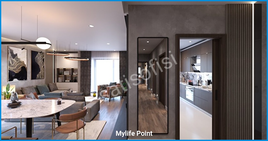 Mylife Point 8