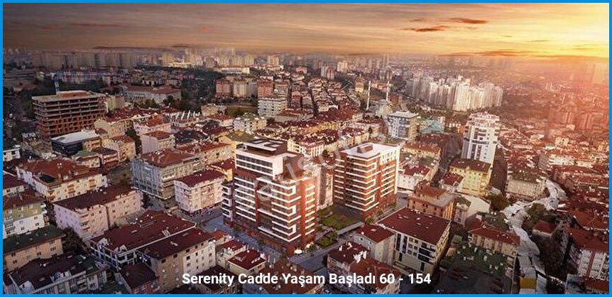 Serenity Cadde 5