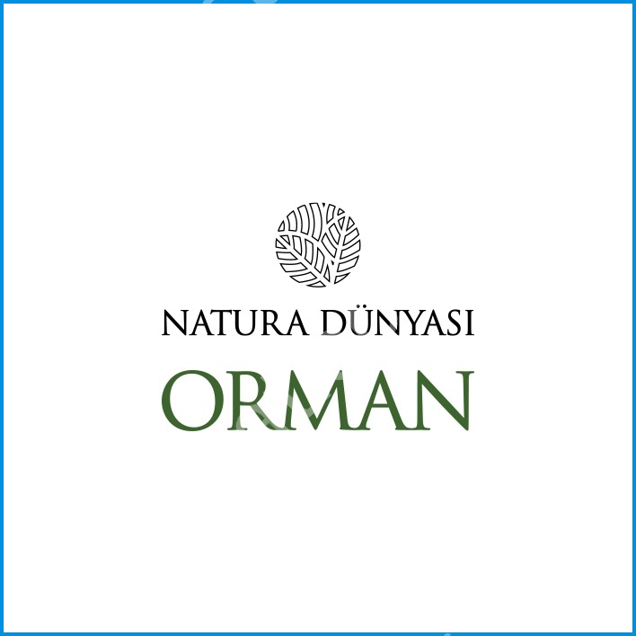 Natura Orman görsel 13
