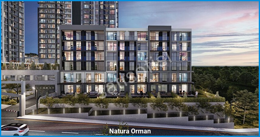 Natura Orman görsel 10