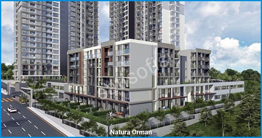 Natura Orman görsel 5