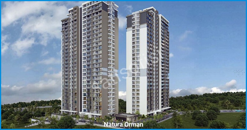 Natura Orman görsel 6