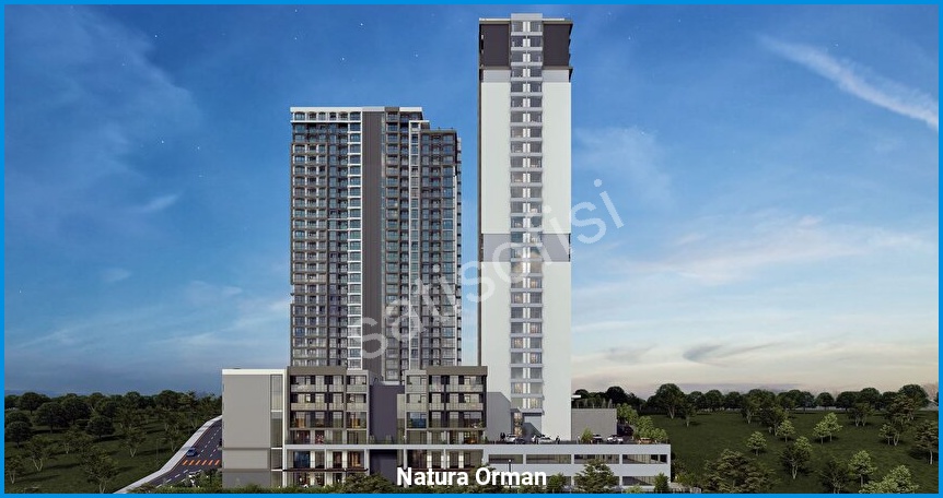 Natura Orman görsel 8