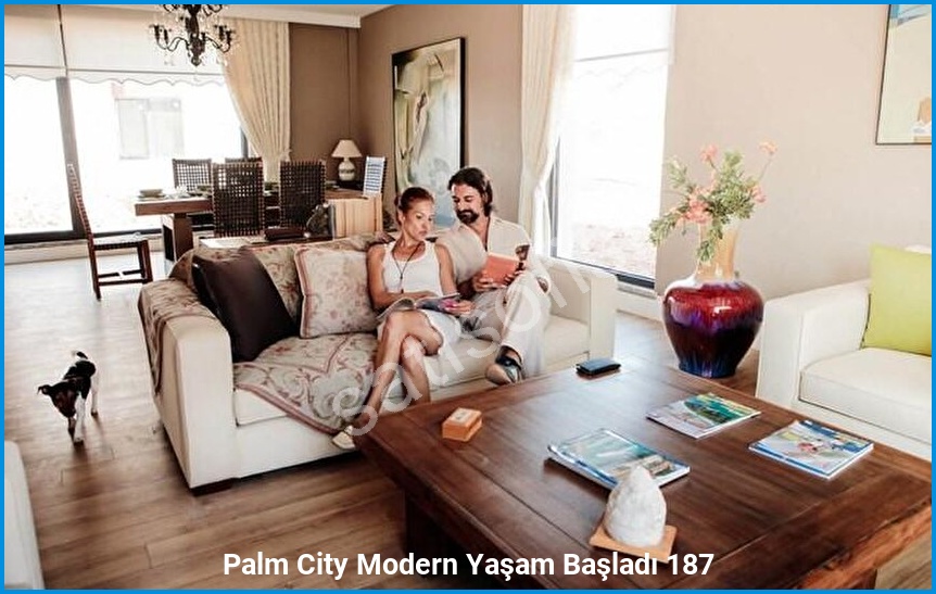 Palm City Modern 10