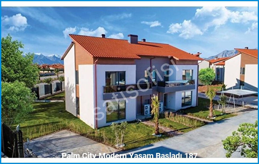 Palm City Modern 3