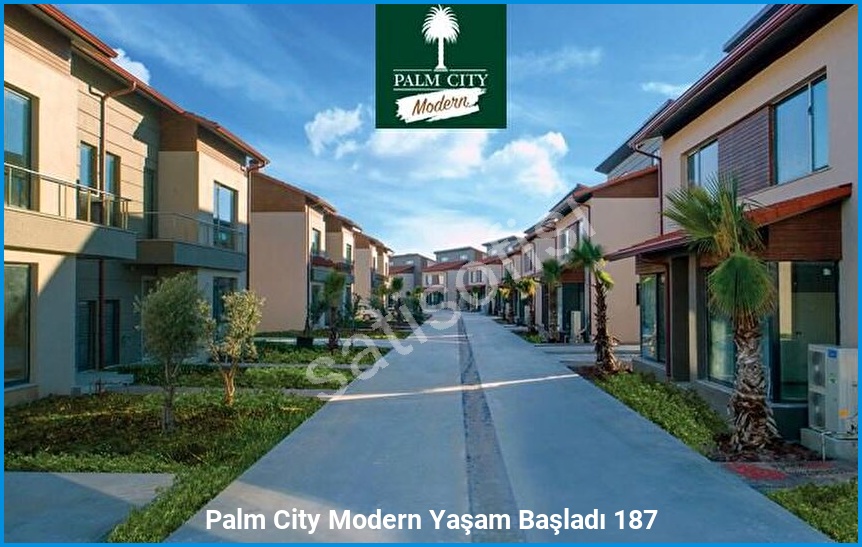 Palm City Modern 4