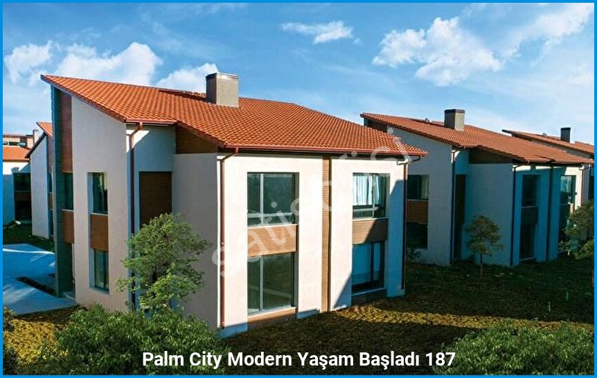 Palm City Modern 5
