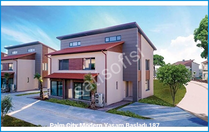 Palm City Modern 6