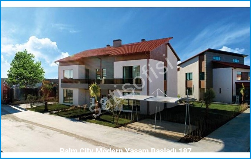 Palm City Modern 7
