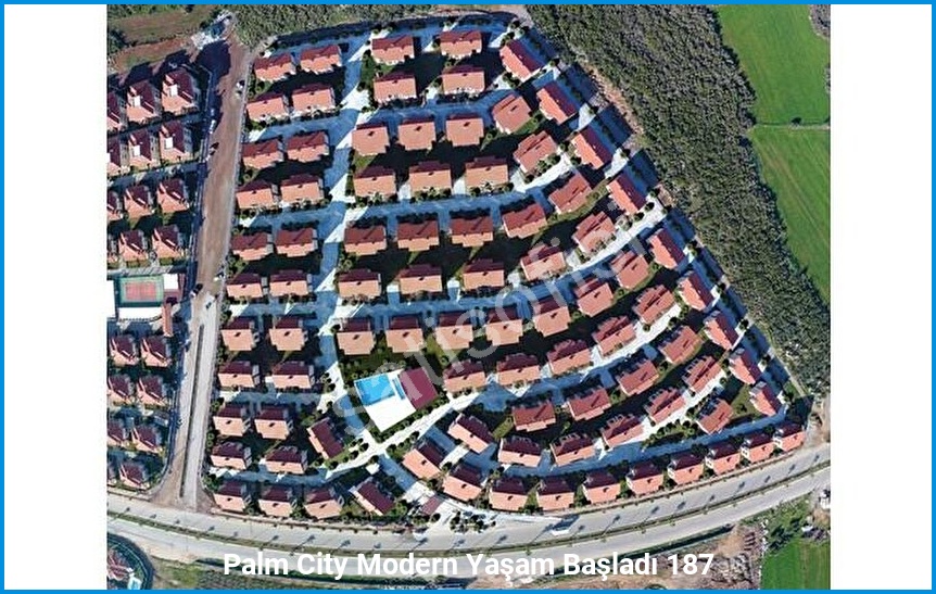 Palm City Modern 8