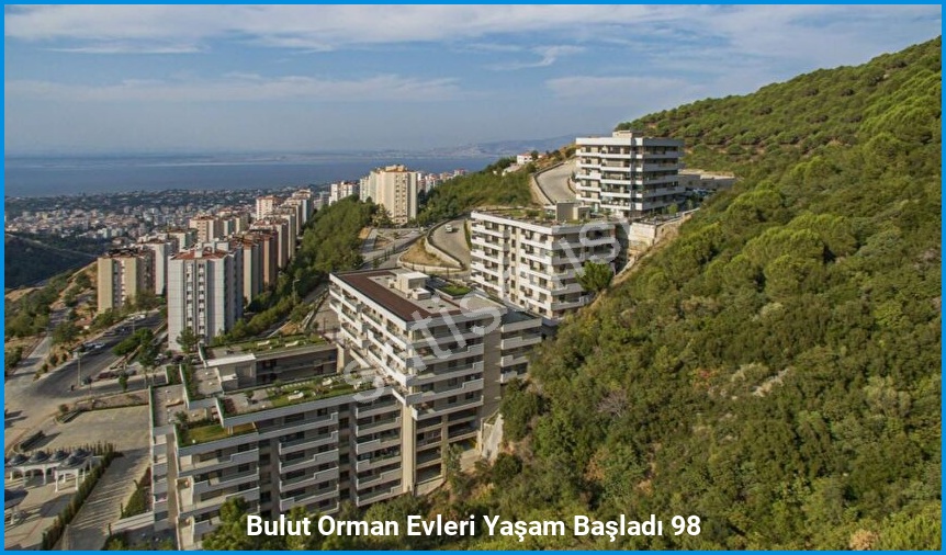 Bulut Orman Evleri 3