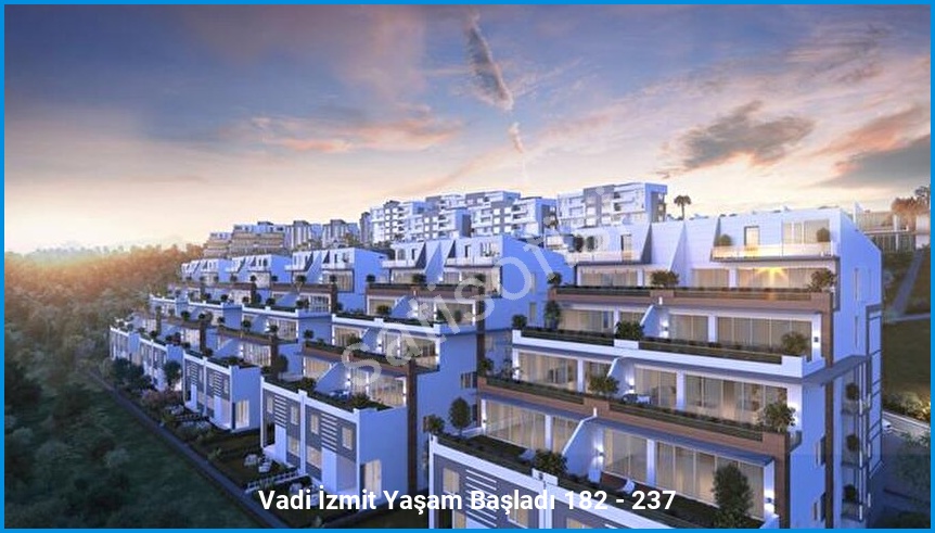 Vadi İzmit 7