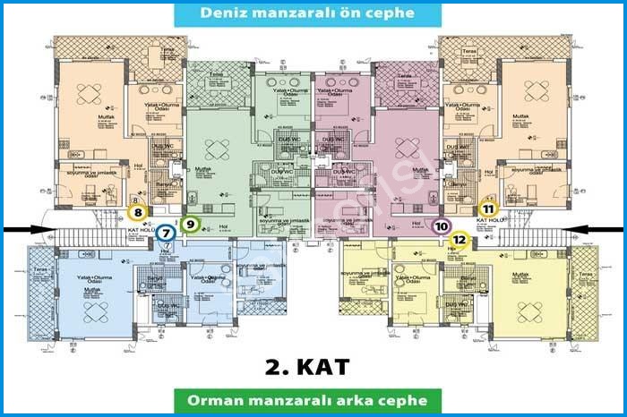 Ege Yıldızı 17