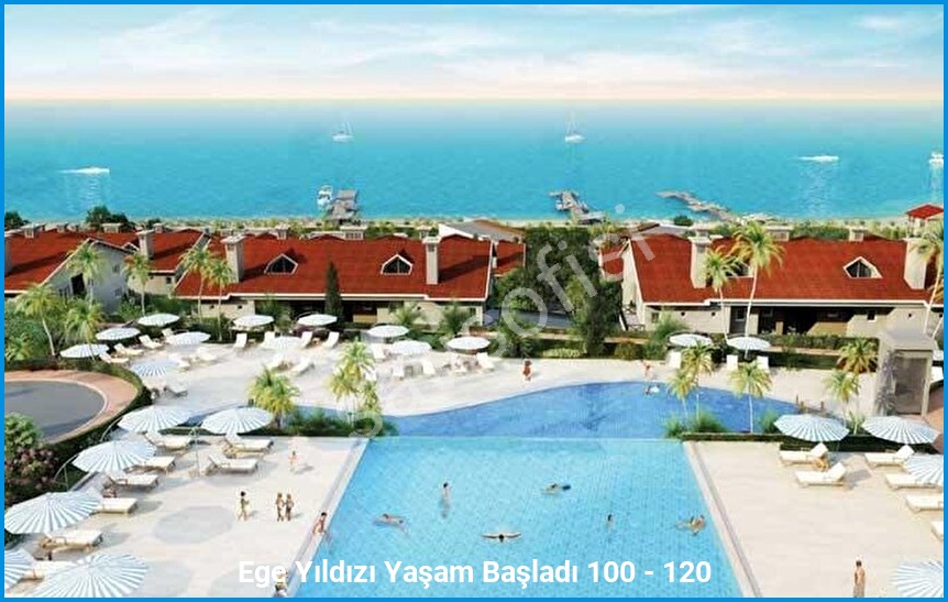 Ege Yıldızı 8