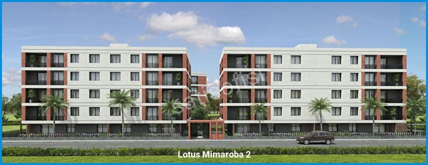Lotus Mimaroba 2