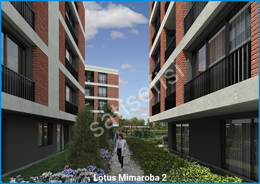 Lotus Mimaroba 2 10